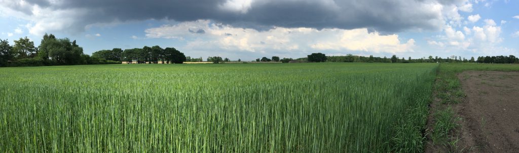 Künftige Aussicht am 03.06.2016 (II)