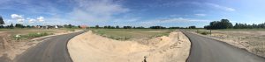 Hofkoppeln II am 11.06.2016