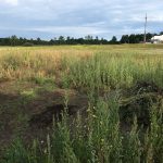 Das Ergebnis der ersten Gartenarbeiten