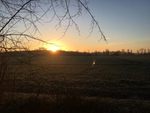 Guten Morgen