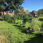 Hecke Pflanzenverteilung