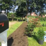 Hecke - Erstmal muss die Erde weg