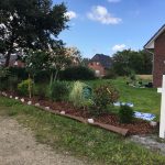 Hecke Gesamtansicht
